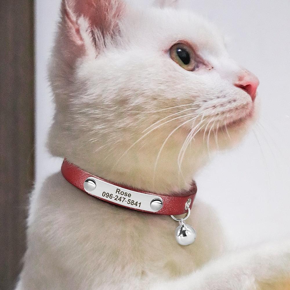 Personalized Leather Cat Collar with Reflective Accents - Cat by The Nichole Collection